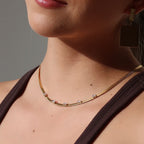 Collar Mirai
