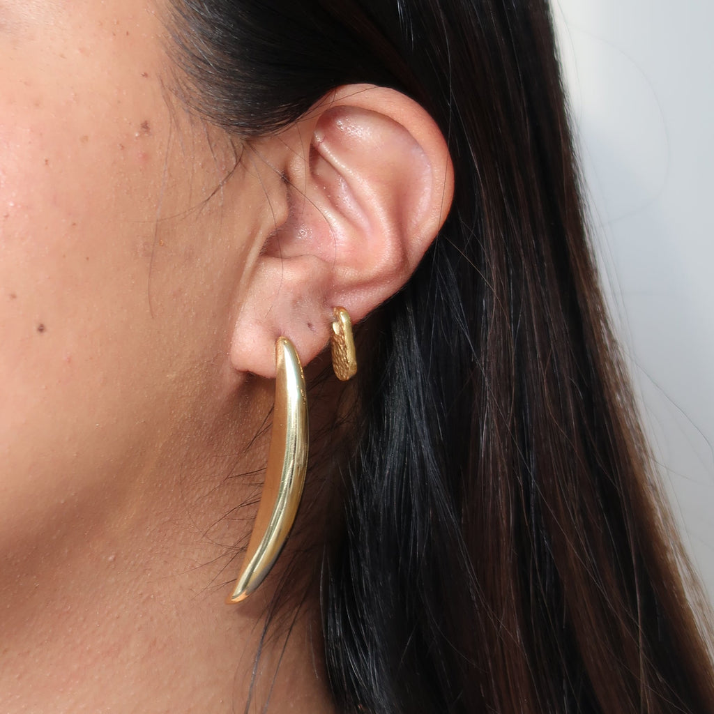 Aretes Jaz
