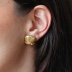 Aretes Paola